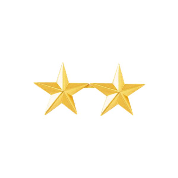 Blackinton 2 Gold Stars